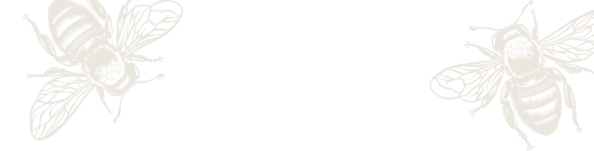 Two white bees on a light beige background