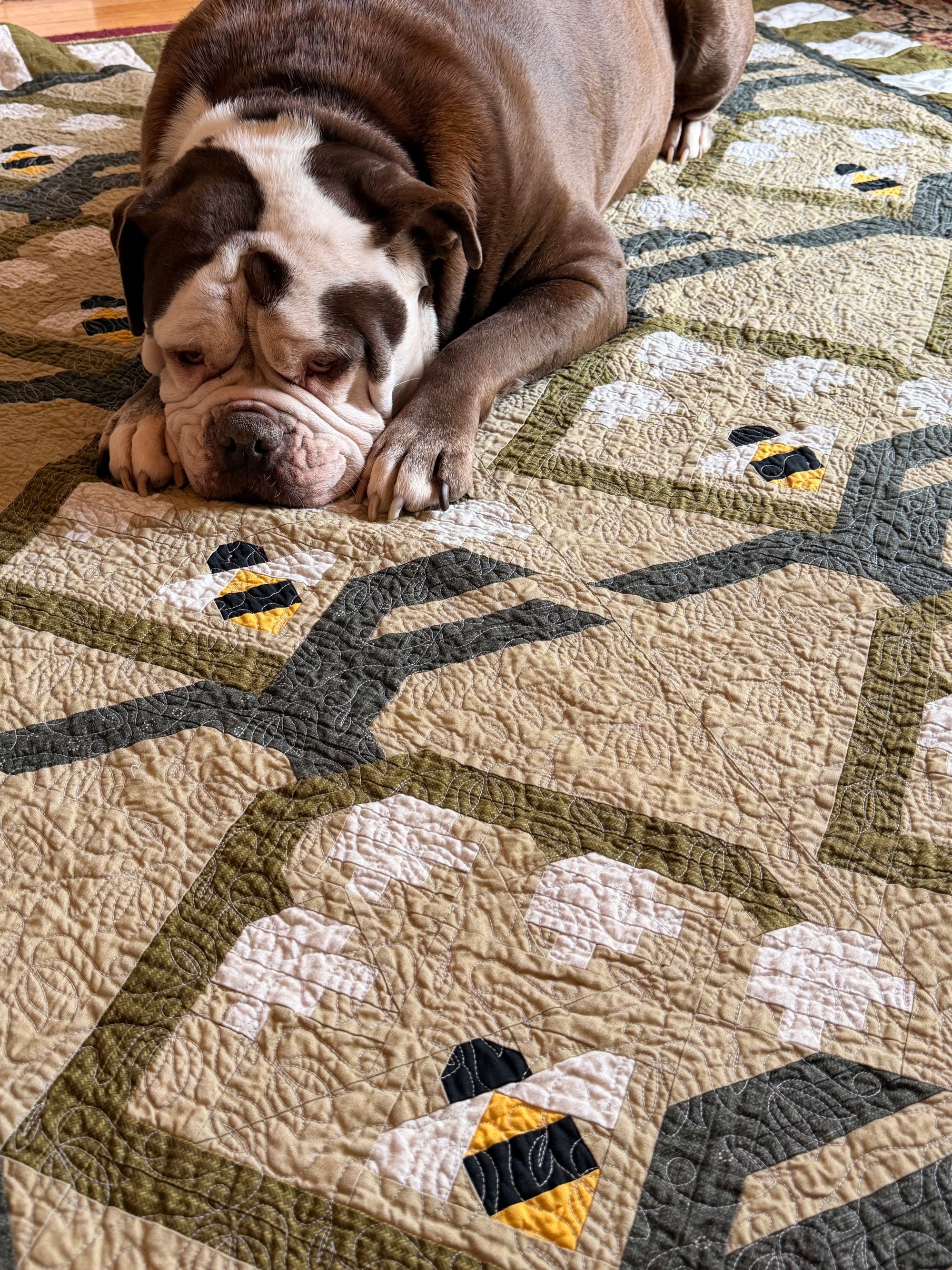 A brown and white bulldog lies resting on a quilted patchwork rug featuring a geometric honeycomb pattern with stylized bees in yellow, black, and white.